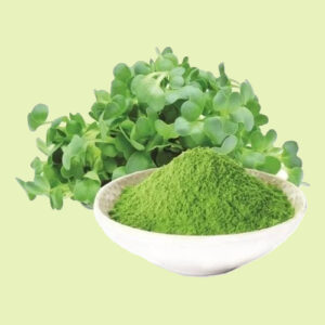 Alfalfa Powder