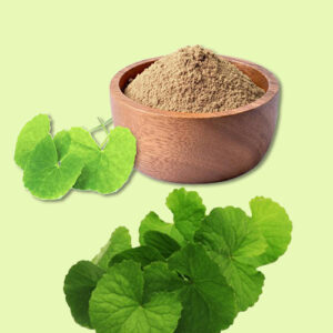 Brahmi Powder