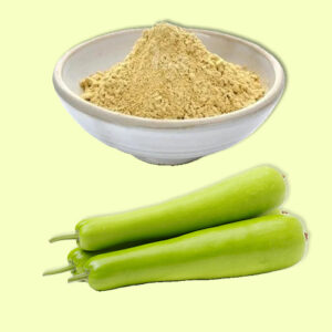 Dudhi Powder