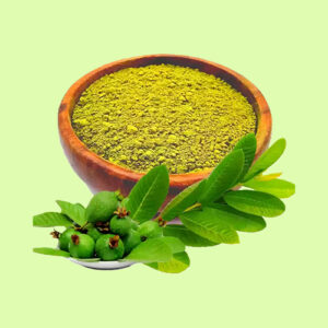 GuavaLeaf Powder