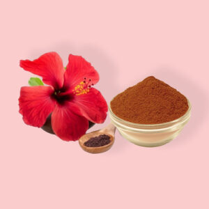 Hibiscus Powder