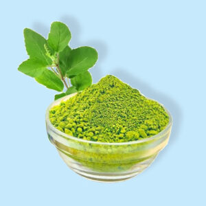 Tulsi Powder