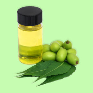 Nim Oil